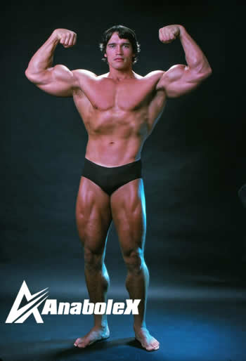 Arnold Schwarzenegger bodybuilding.jpg