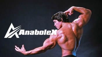 Arnold Schwarzenegger bodybuilding position.jpg