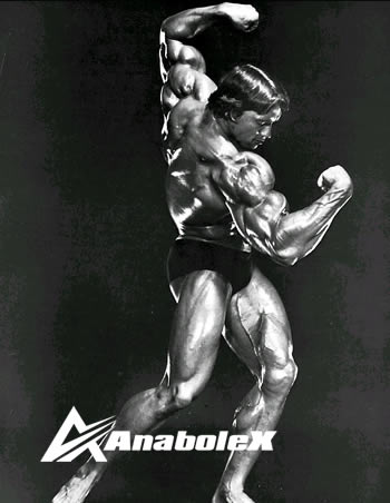 Arnold Schwarzenegger competitions.jpg