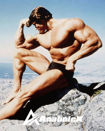 Arnold Schwarzenegger Pumping Iron.png