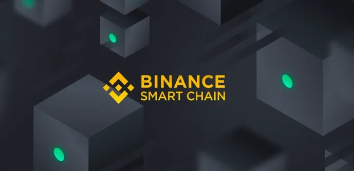 BSC BEP20 network chain.jpg