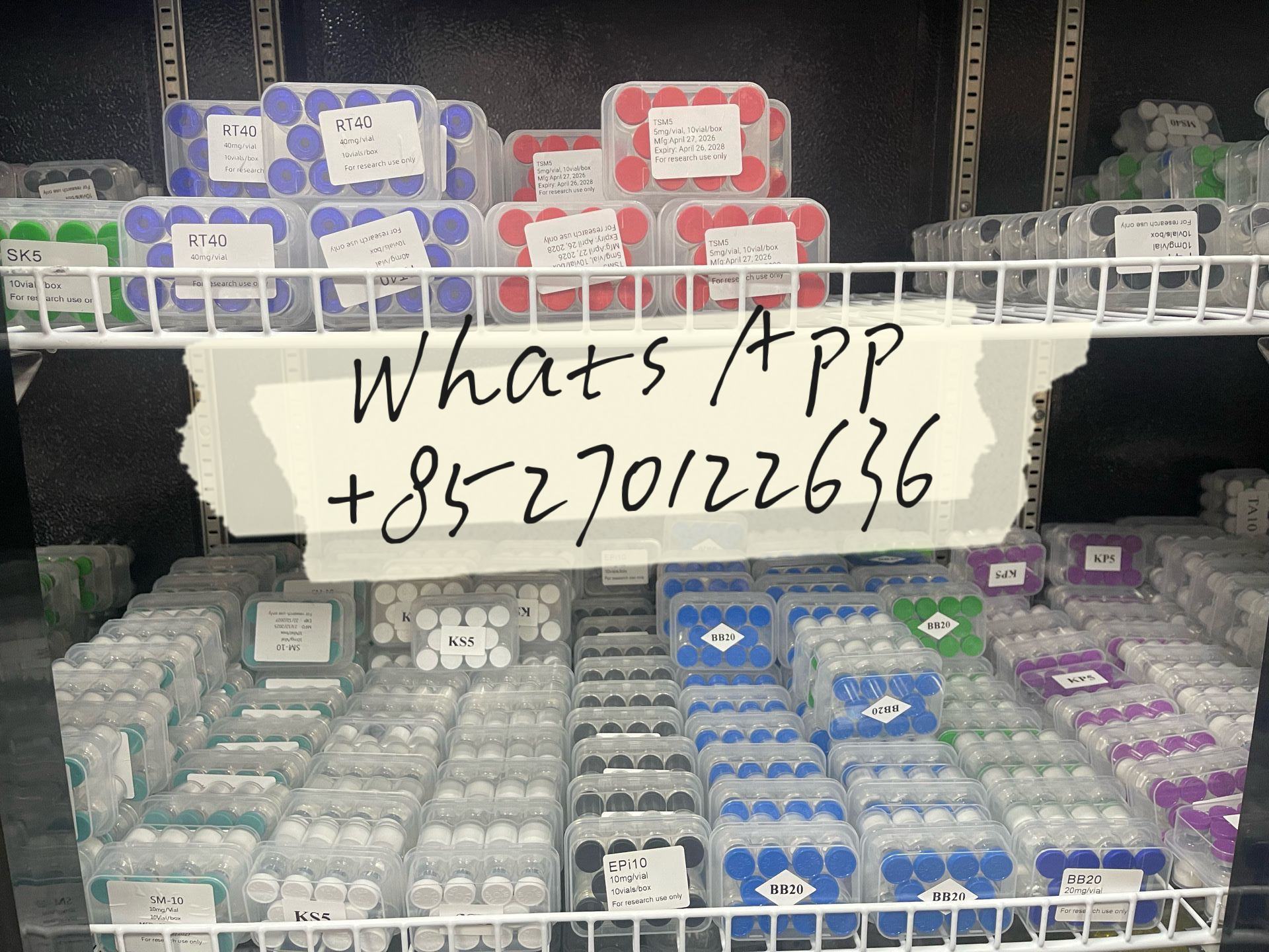 IMG_0225.jpeg