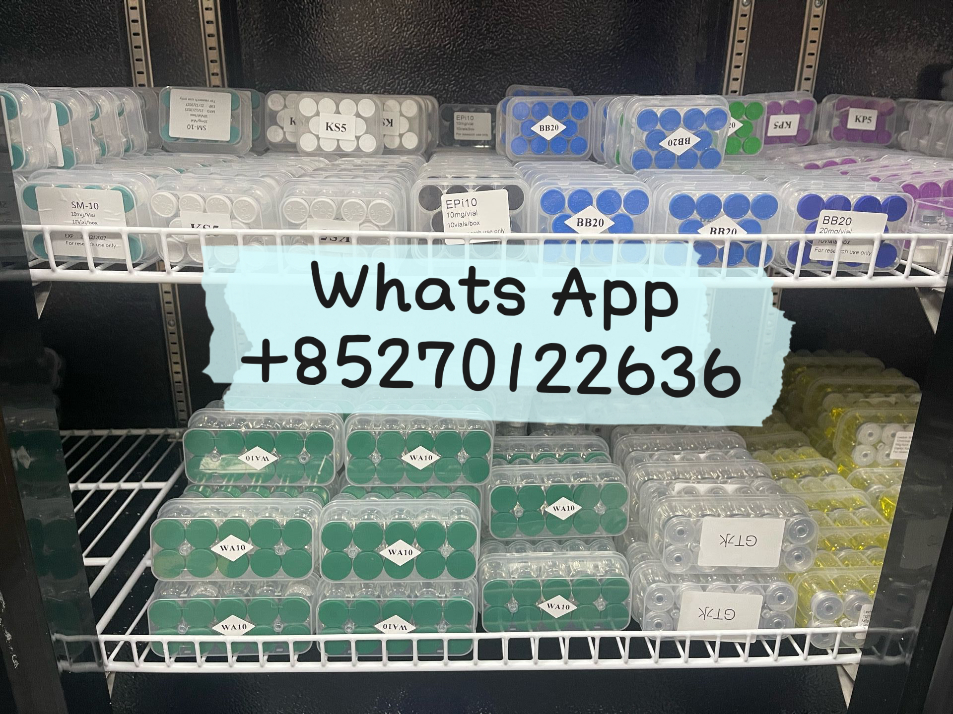 IMG_0229.jpeg