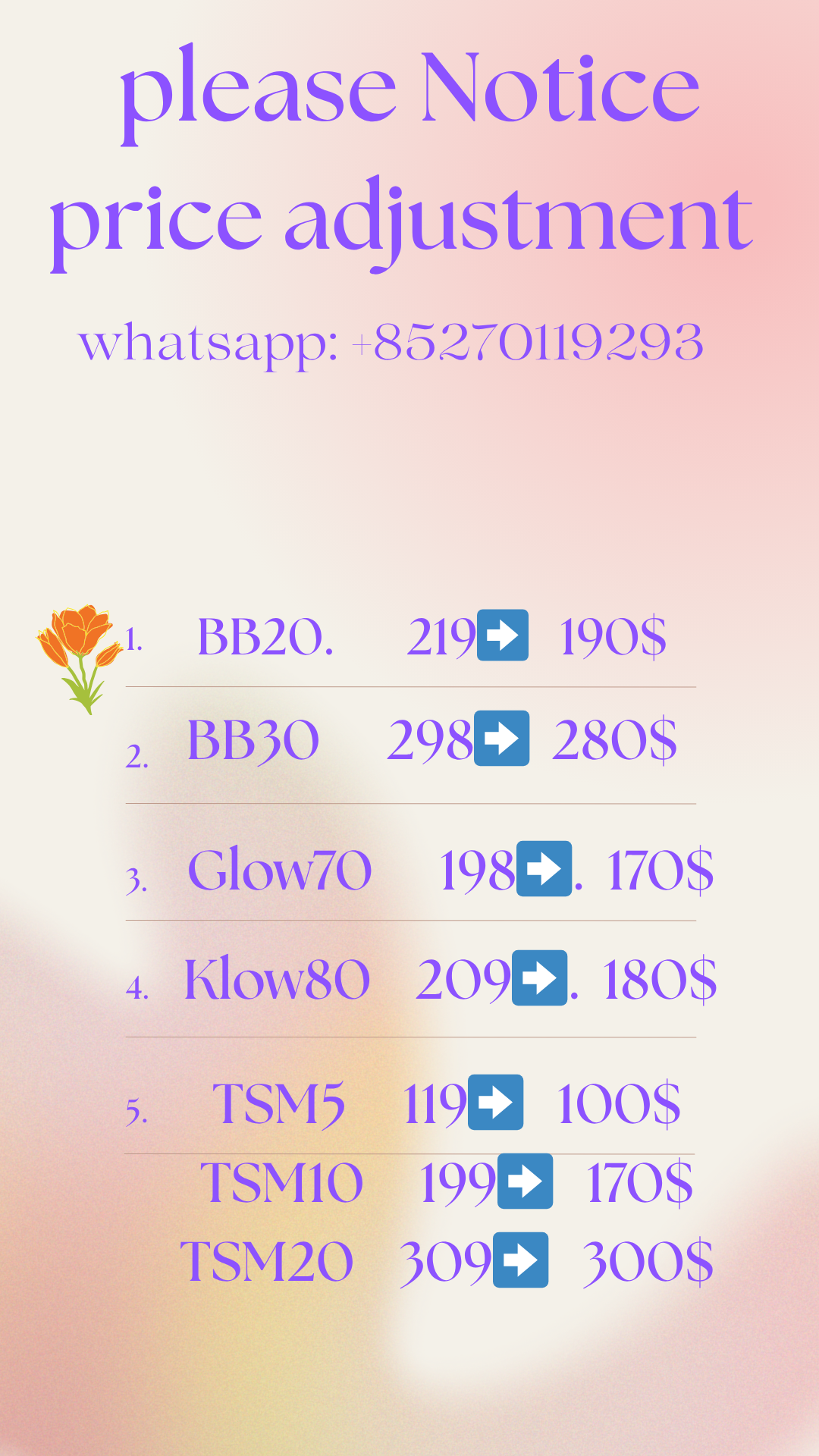 IMG_0238.png