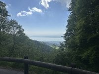 IMG_5672.jpeg