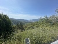 IMG_5899.jpeg