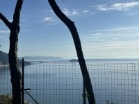 IMG_5865.jpeg