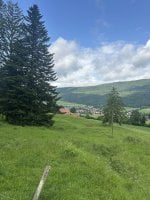 IMG_6060.jpeg