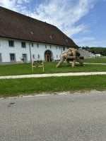 IMG_6157.jpeg