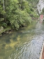 IMG_6656.jpeg