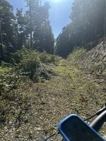 IMG_6707.jpeg