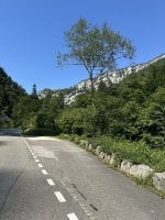 IMG_6732.jpeg