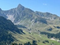 IMG_6764.jpeg