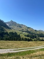 IMG_6768.jpeg
