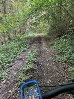 IMG_6810.jpeg