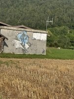 IMG_6822.jpeg