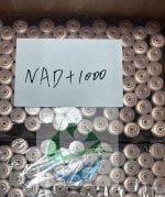 nad 1000_副本.jpg