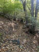 IMG_7493.jpeg