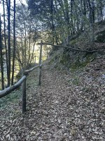 IMG_7492.jpeg