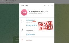 scammer.jpg