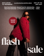 flash sale (1).png