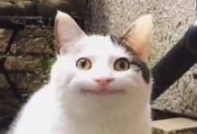 Screenshot 2025-10-25 121441.png