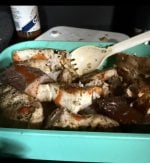 IMG_5268.jpeg