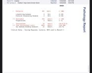 IMG_9299.jpeg
