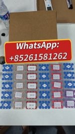 WhatsApp Image 2026-06-11 at 9.08.56 AM.jpeg