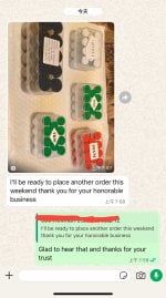 c8237c01bf658165c1883be45e6a4d0d.jpeg