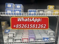IMG_0168.jpeg IMG_0168.jpeg