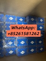 IMG_0593.jpeg IMG_0593.jpeg
