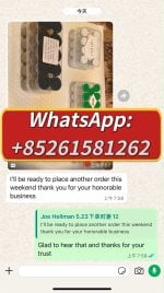 WhatsApp Image 2026-06-09 at 9.32.46 AM.jpeg