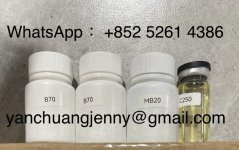 IMG_0336.jpeg