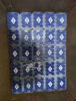 IMG_2044.jpeg