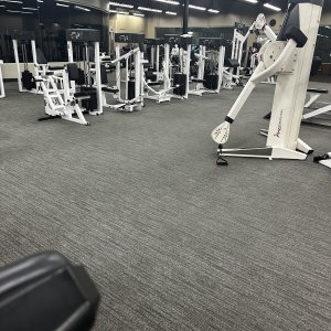 IMG_3083.jpeg