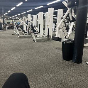 IMG_3081.jpeg