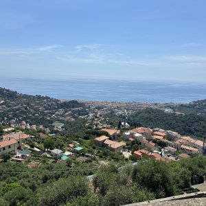 IMG_5906.jpeg