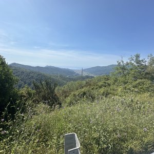 IMG_5899.jpeg
