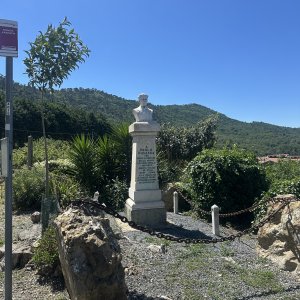 IMG_5880.jpeg