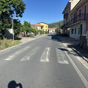 IMG_5872.jpeg