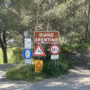 IMG_5851.jpeg