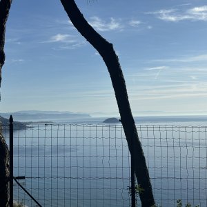 IMG_5865.jpeg