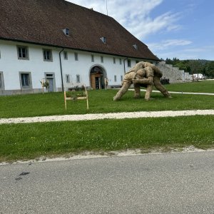 IMG_6157.jpeg