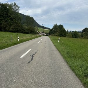 IMG_6686.jpeg