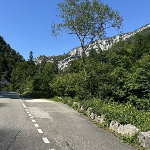 IMG_6732.jpeg