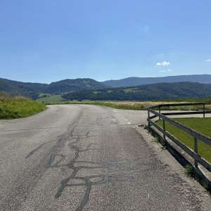 IMG_6725.jpeg
