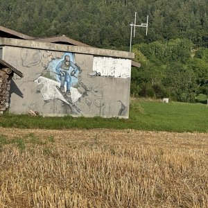 IMG_6822.jpeg