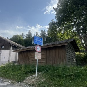 IMG_6820.jpeg