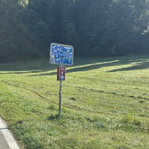 IMG_6896.jpeg